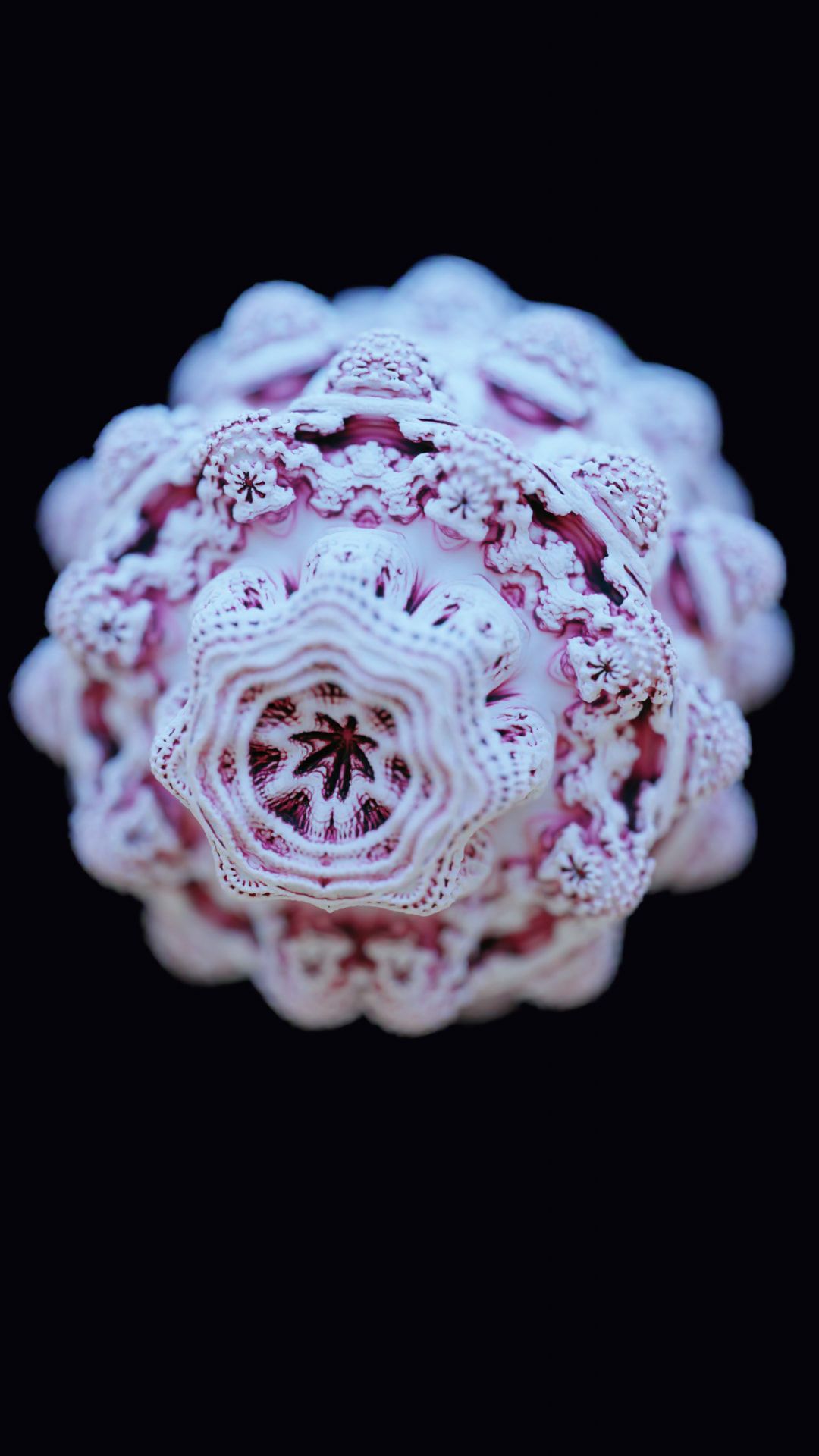 Mandelbulb profile view